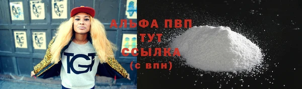 PSILOCYBIN Дмитриев