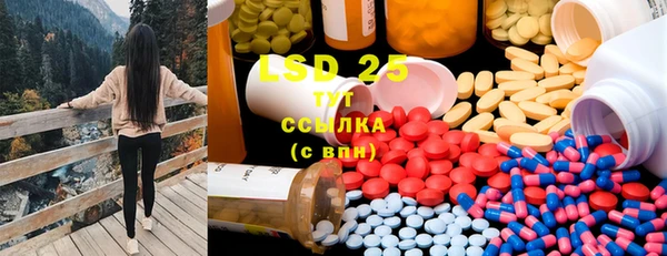 PSILOCYBIN Дмитриев