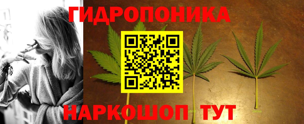 Конопля семена Саров